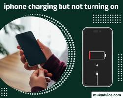 iphone charging but not turning on 2022